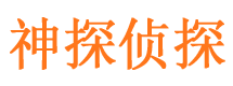 尖山市私家侦探